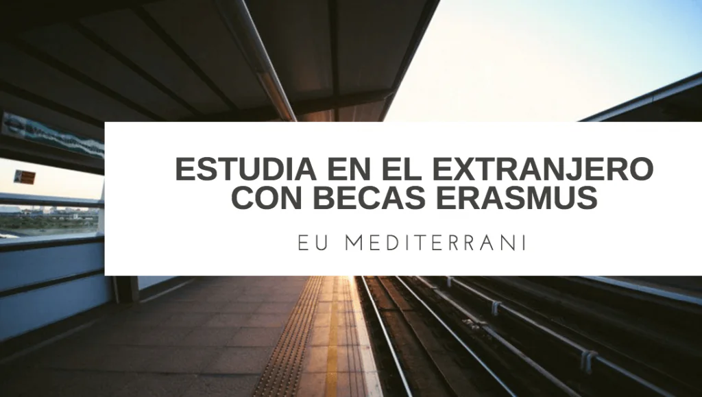 becas erasmus