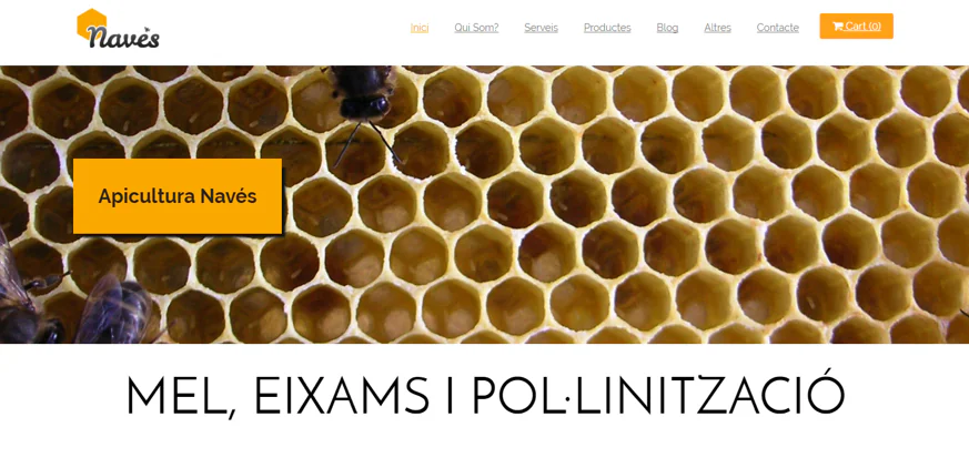 EUMediterrani-GemmaVall-Entrevista-DissenyWeb2