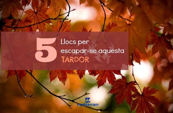 grau-en-turisme-llocs-per-espacarse-aquesta-tardor